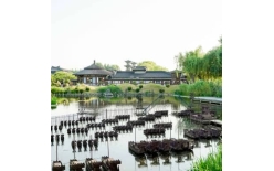 2026宜昌夏季团建新篇：贝塔团建以‘长安的荔枝’解锁国风团建新体验